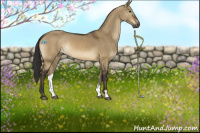 Horse Color:Buckskin Dun 