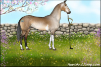 Horse Color:Gray Buckskin Dun Tobiano