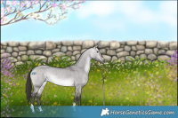 Horse Color:Platinum Buckskin Dun Tobiano 