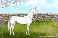 Horse Color:Gray Brown Dun Splash Tobiano