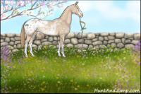 Horse Color:Perlino Sabino Blanket Rabicano 