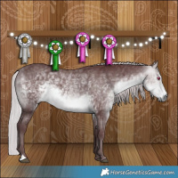 Horse Color:Chocolate Silver Buckskin Chinchilla 