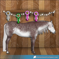 Horse Color:Chocolate Silver Buckskin Chinchilla 