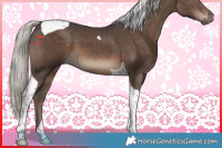 Horse Color:Silver Black Tobiano 
