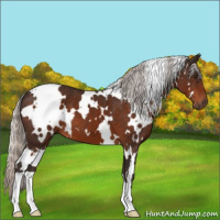 Horse Color:White Spotted Silver Brown 