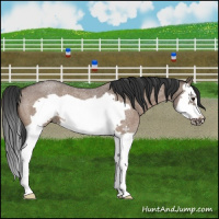 Horse Color:Bay Roan Dun Splash Frame Brindle 