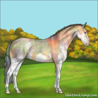 Horse Color:Nacre Watercolor Bay Splash 