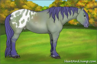 Horse Color:Watercolor Grullo Appaloosa 