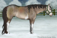 Horse Color:White Spotted Liver Red Dun Roan Rabicano Brindle 