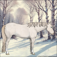 Horse Color:Smoky Creme Roan 