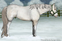 Horse Color:White Spotted Chocolate Palomino Roan Dun Rabicano 