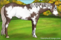 Horse Color:Silver Black Frame 