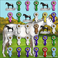 Horse Color:Gray Amber Cream Champagne Appaloosa