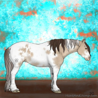 Horse Color:Liver Red Dun Tobiano Frame Appaloosa 