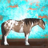 Horse Color:White Spotted Liver Red Dun Appaloosa 