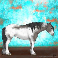 Horse Color:Grullo Sabino Tobiano Frame 