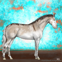 Horse Color:White Spotted Liver Red Dun Mushroom Sabino Splash 