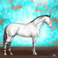 Horse Color:Bay Dun Mushroom Splash Tobiano Appaloosa Brindle 
