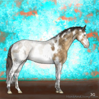 Horse Color:Buckskin Dun Mushroom Splash Tobiano Appaloosa Brindle 