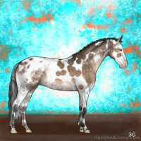 Horse Color:Brown Dun Mushroom Splash Tobiano Appaloosa 