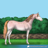 Horse Color:Painted Watercolor Liver Red Dun Roan Onyx Sabino 