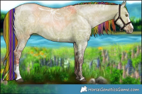 Horse Color:Painted Liver Red Dun Ice Sabino 