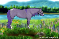 Horse Color:Watercolor Liver Red Dun Sabino Tobiano