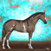 Horse Color:White Spotted Liver Red Dun Sabino Rabicano 