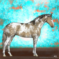 Horse Color:White Spotted Chocolate Palomino Dun Mushroom Brindle 