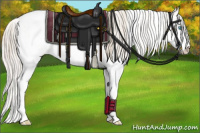Horse Color:Perlino Sabino  and Perlino Sabino 