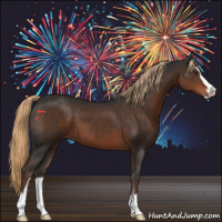 Horse Color:Liver Chestnut Sabino