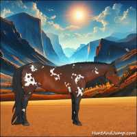Horse Color:White Spotted Brown 