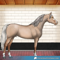 Horse Color:Silver Brown Pearl Dun