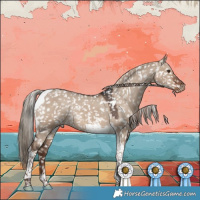 Horse Color:Liver Red Dun Tobiano Appaloosa Rabicano