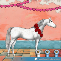 Horse Color:Liver Red Dun Tobiano Appaloosa Rabicano 