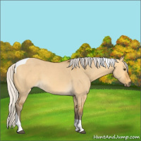 Horse Color:Silver Buckskin Dun Tobiano 