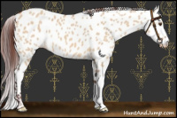 Horse Color:Chocolate Bay Dun Leopard 