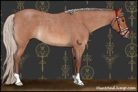Horse Color:Chocolate Silver Bay Roan Rabicano 
