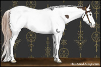 Horse Color:Liver Chestnut Splash Tobiano 