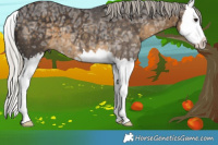 Horse Color:Silver Smoky Black Ice Splash