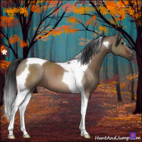 Horse Color:Brown Dun Tobiano 