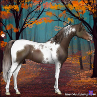 Horse Color:Liver Chestnut Tobiano 
