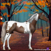 Horse Color:Silver Brown Tobiano 