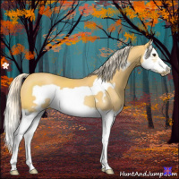 Horse Color:Palomino Splash Frame 