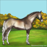 Horse Color:Liver Red Onyx Mushroom 