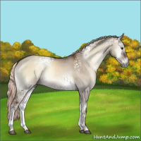 Horse Color:White Spotted Liver Red Dun Onyx Mushroom 