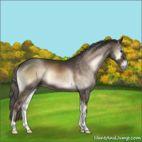 Horse Color:Liver Red Onyx Mushroom 