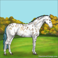 Horse Color:Painted White Spotted Chocolate Brown Onyx Sabino Appaloosa 