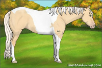 Horse Color:Silver Amber Cream Champagne Dun Tobiano 