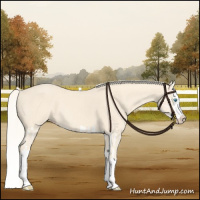 Horse Color:Cremello Splash  and Cremello Splash 